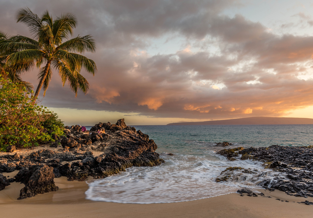 Beach Paradise Landscape